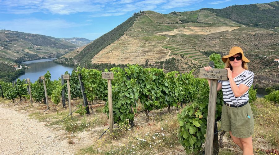 Which Part of the Douro Valley is the Most Scenic?