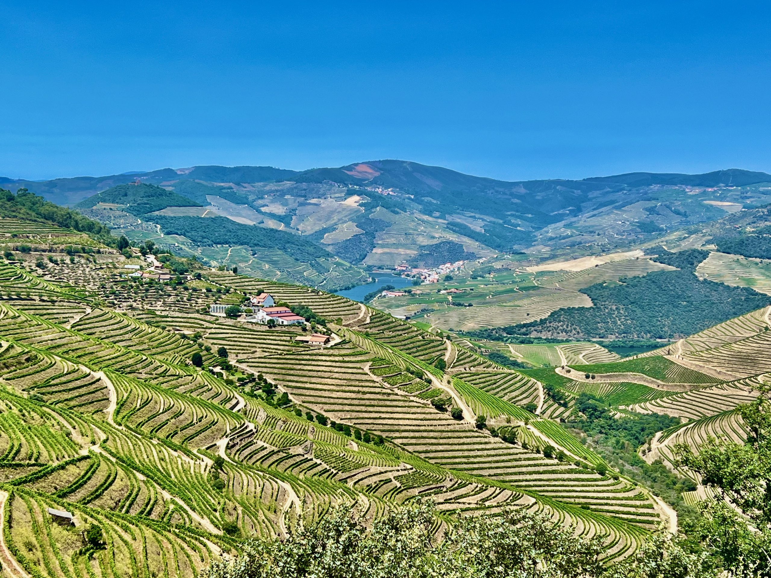 douro wine tour by train
